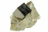 Pyrite Cube In Rock - Navajun, Spain #118235-1
